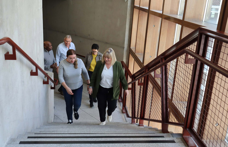 Business-Morphology_who-we-are__section-01-v1_sm A group of people walking up some stairs