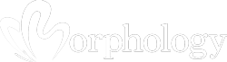 Mrophology logo